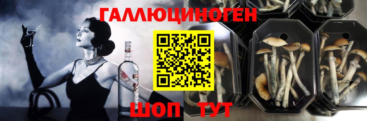 Галлюциногенные грибы MAGIC MUSHROOMS Ухта